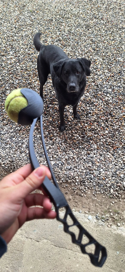 Tennis ball thrower